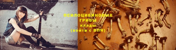 шишки Липки