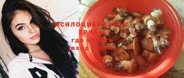 героин Лагань